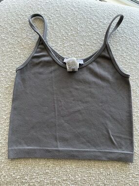Zara Women's Gray Cropped Tank Top